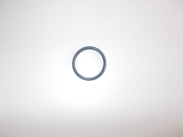 O Ring  Ölsieb C19 Bella R125 R50