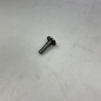 Druckpilz Kupplung KS80 Motor Typ314 für Axialllager