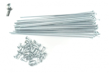 Speichen Satz 36 x 195 x 2,5mm 90grad
