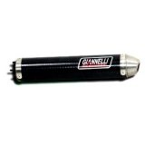 Endtopf Carbon Aprillia RS125