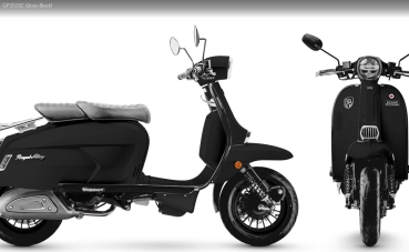GP 300 LC ABS SE ( Special Edition )