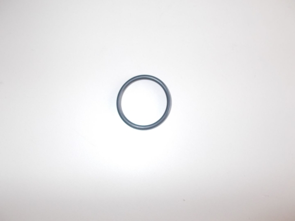O Ring  Ölsieb C19 Bella R125 R50
