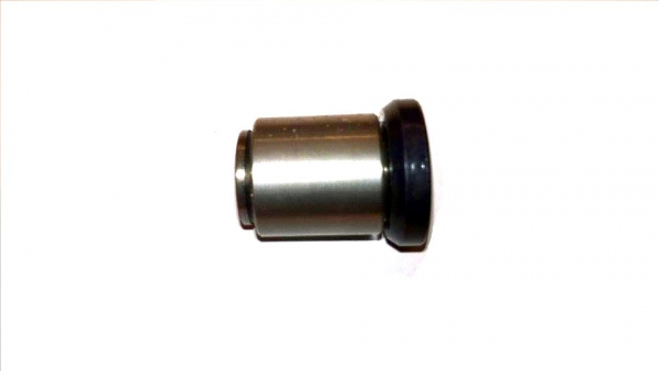 Lagerungsset BremsAnker vorne R50 RS50 Typ561
