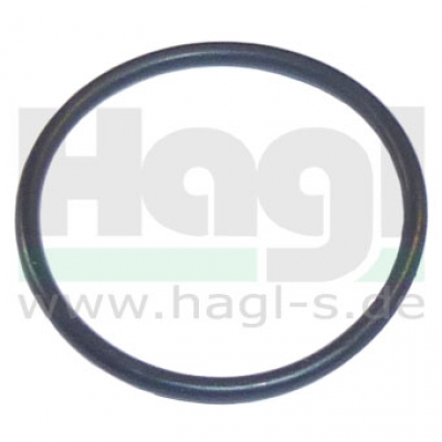 O-Ring für Schwimmerkammer Innendurchmesser 22 mm Stärke: 1,5 mm